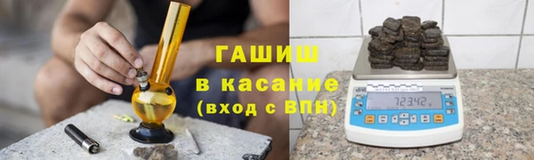 сатива Беломорск