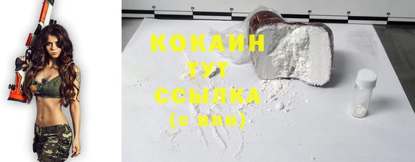 твердый Белокуриха