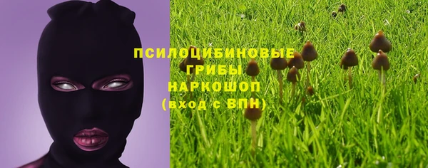 сатива Беломорск