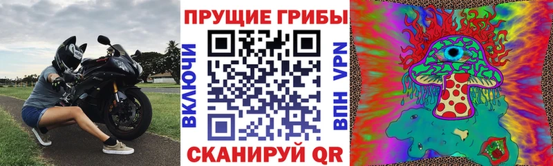 Галлюциногенные грибы мицелий  Шагонар 